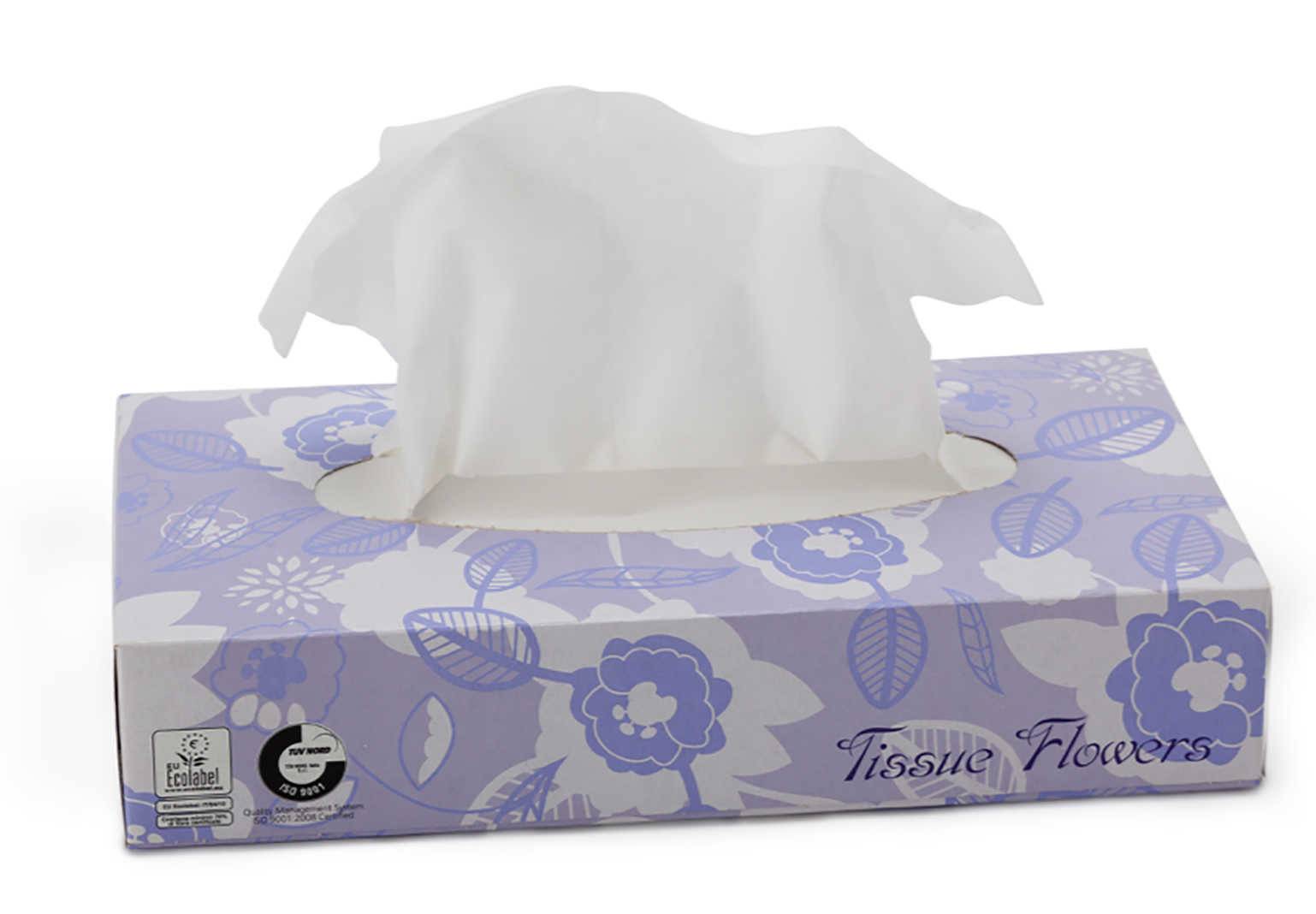 Carton de 40 boites de 100 mouchoirs celtex eco label - CELTEX - Mouchoir-0