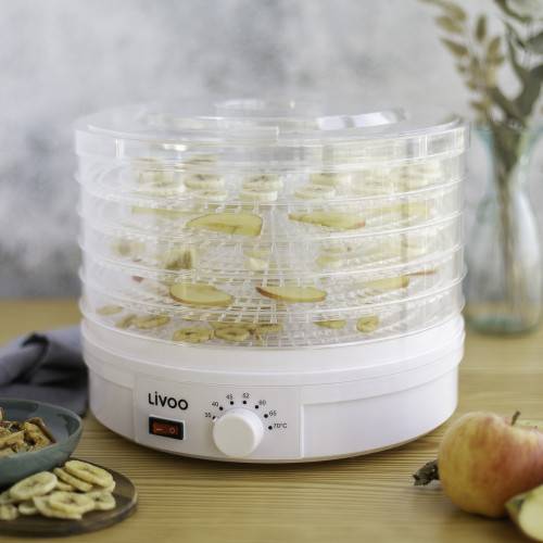 Déshydrateur à aliments 5 plateaux-1