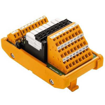 Weidmüller Carte relais avec indicateur LED 1 pc(s) RSMS-8 24V- 1CO Z 1 inverseur (RT) 24 V/DC Piece-0
