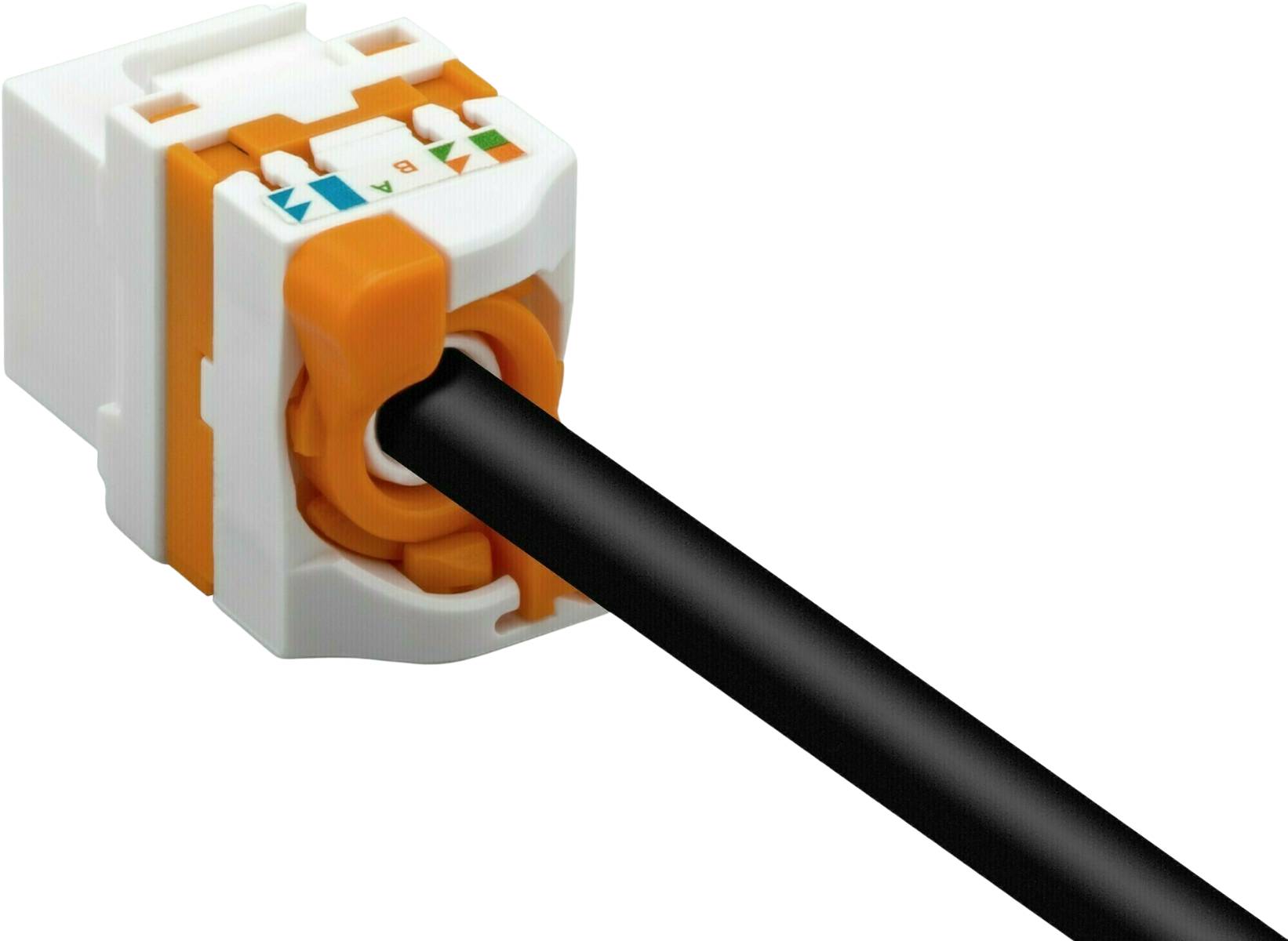 Danicom - Connecteur Keystone Cat6 UTP - Twold Twist-4