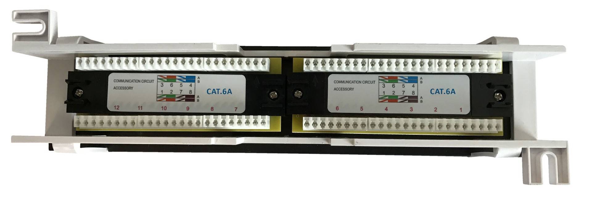 Danicom - Panneau de brassage mural Cat6a UTP - 12 ports-3