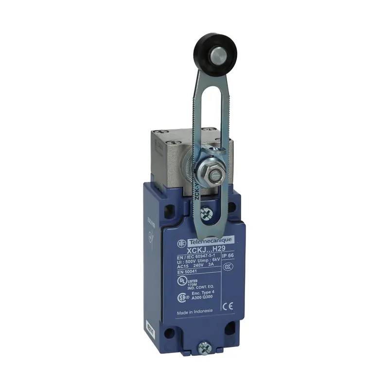 Interrupteur de position Telemecanique Sensors XCKJ10541H29-0