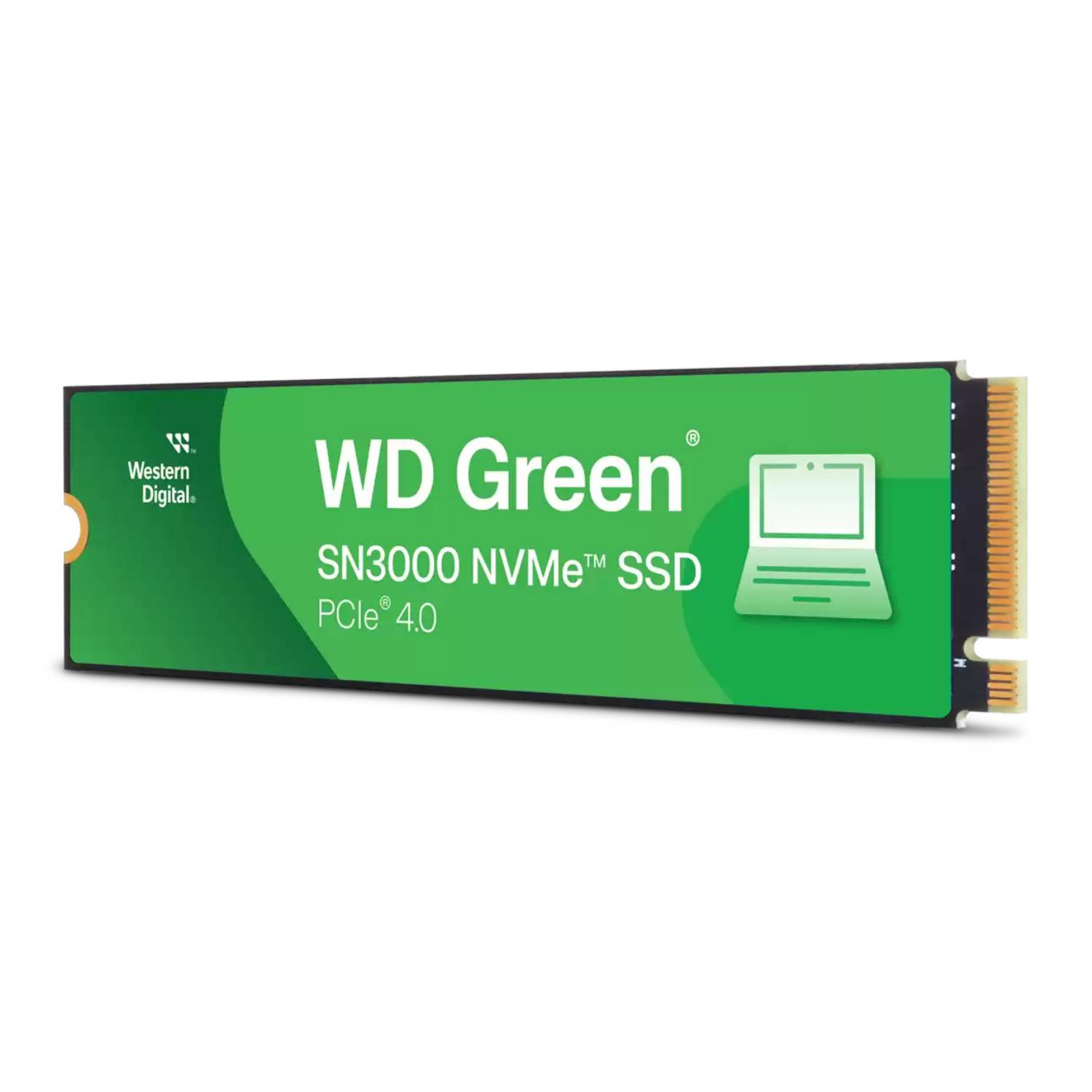 SanDisk SN3000, 500 Go, M.2, 5000 Mo/s-1