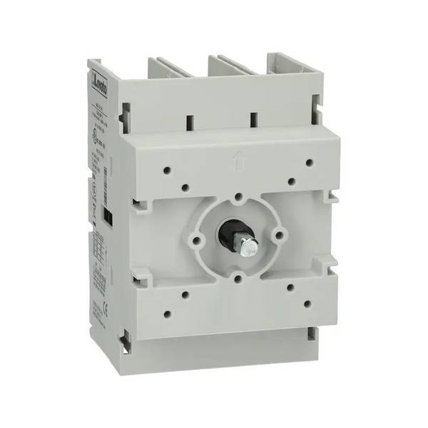 Interrupteur principal Lovato Electric GA160C