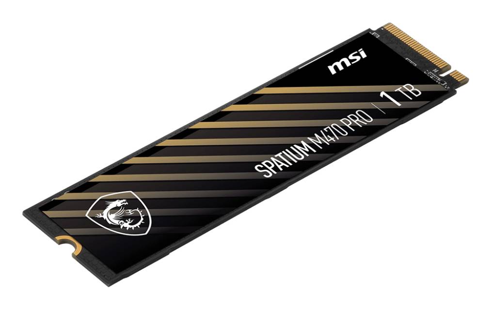 MSI Spatium M470 PRO PCIe 4.0 NVMe M.2 1TB, 1 To, M.2-2