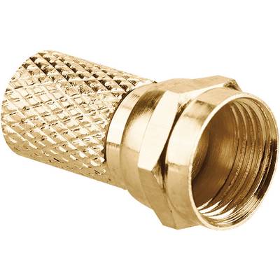 Un connecteur F coaxial en métal, utilisé pour le raccordement des câbles d'antenne.