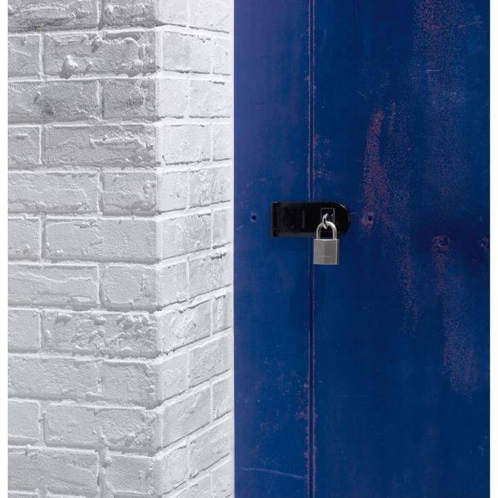 Master Lock 1145PEURD Cadenas Marin avec Clé, Gris, 7,1 x 4 x 2,1 cm-2
