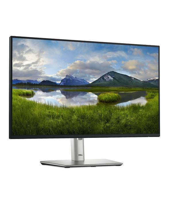 DELL Pro Plus P2425HE, 60,5 cm (23.8"), 1920 x 1080 pixels, Full HD, LCD, 8 ms, Noir-2
