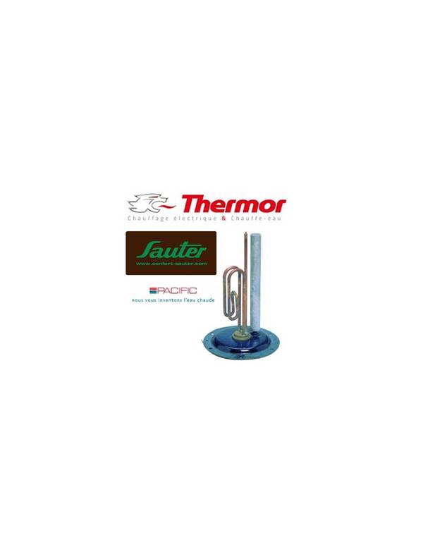 Résistance Thermor 2200w Chauffage Rapide Et étanchéité - Thermor