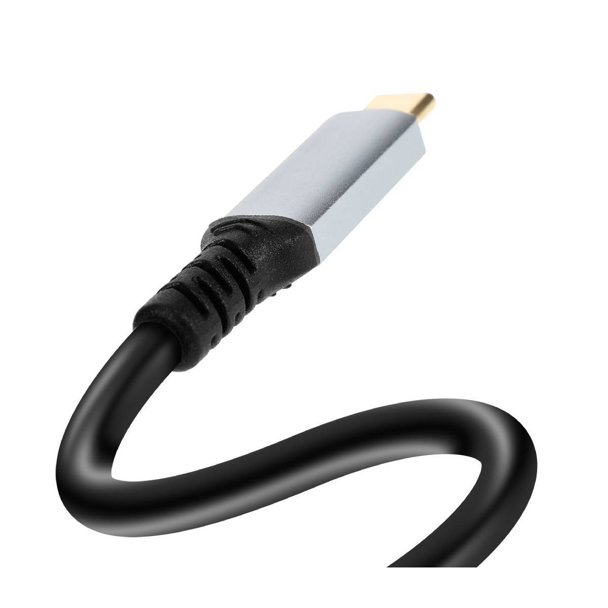 Câble Vidéo DisplayPort vers USB-C 4K 60Hz 1.8m pour PC et Tablette-1