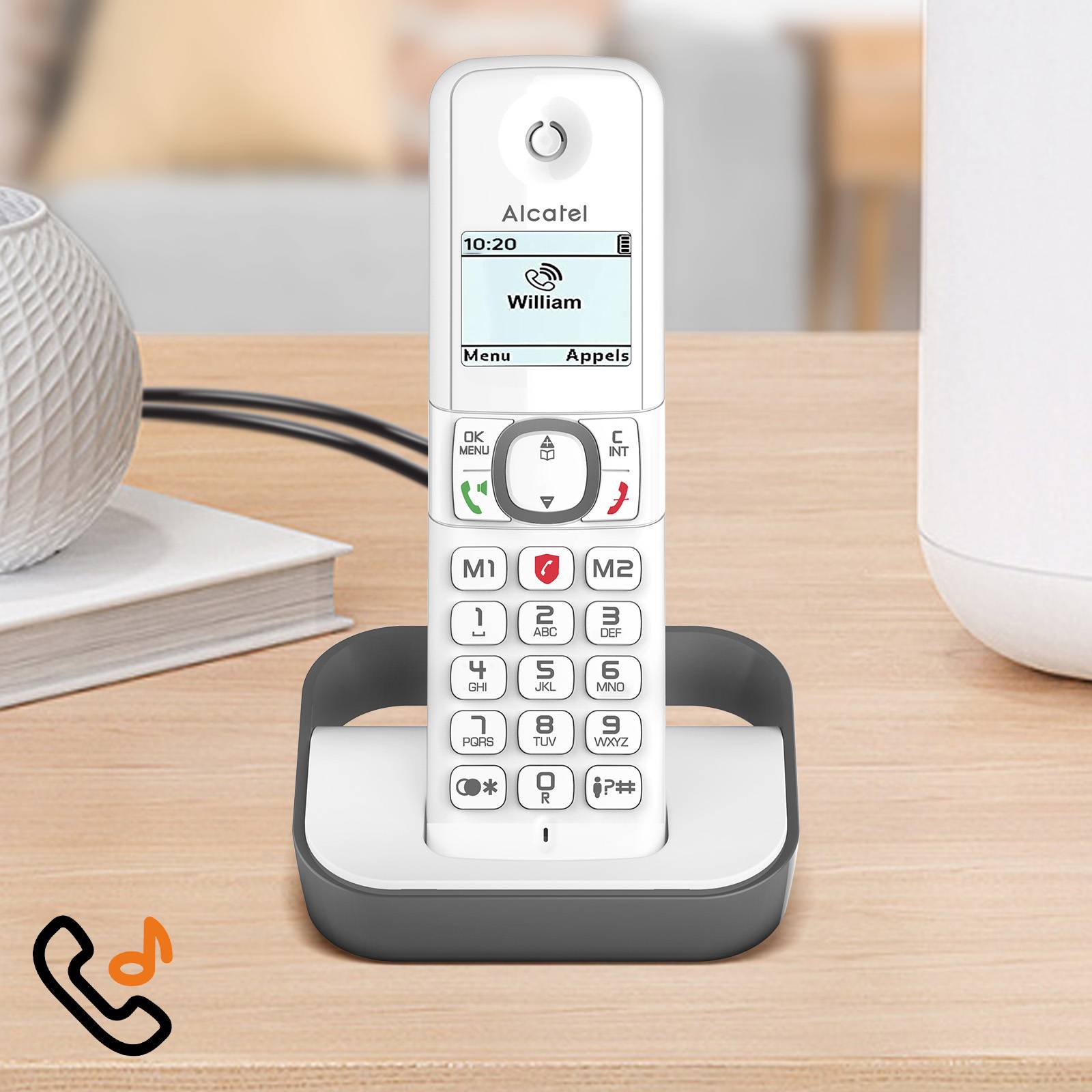 Lot de 2 Téléphones DECT Blocage d'Appels et Fonction VIP F860 Duo-3
