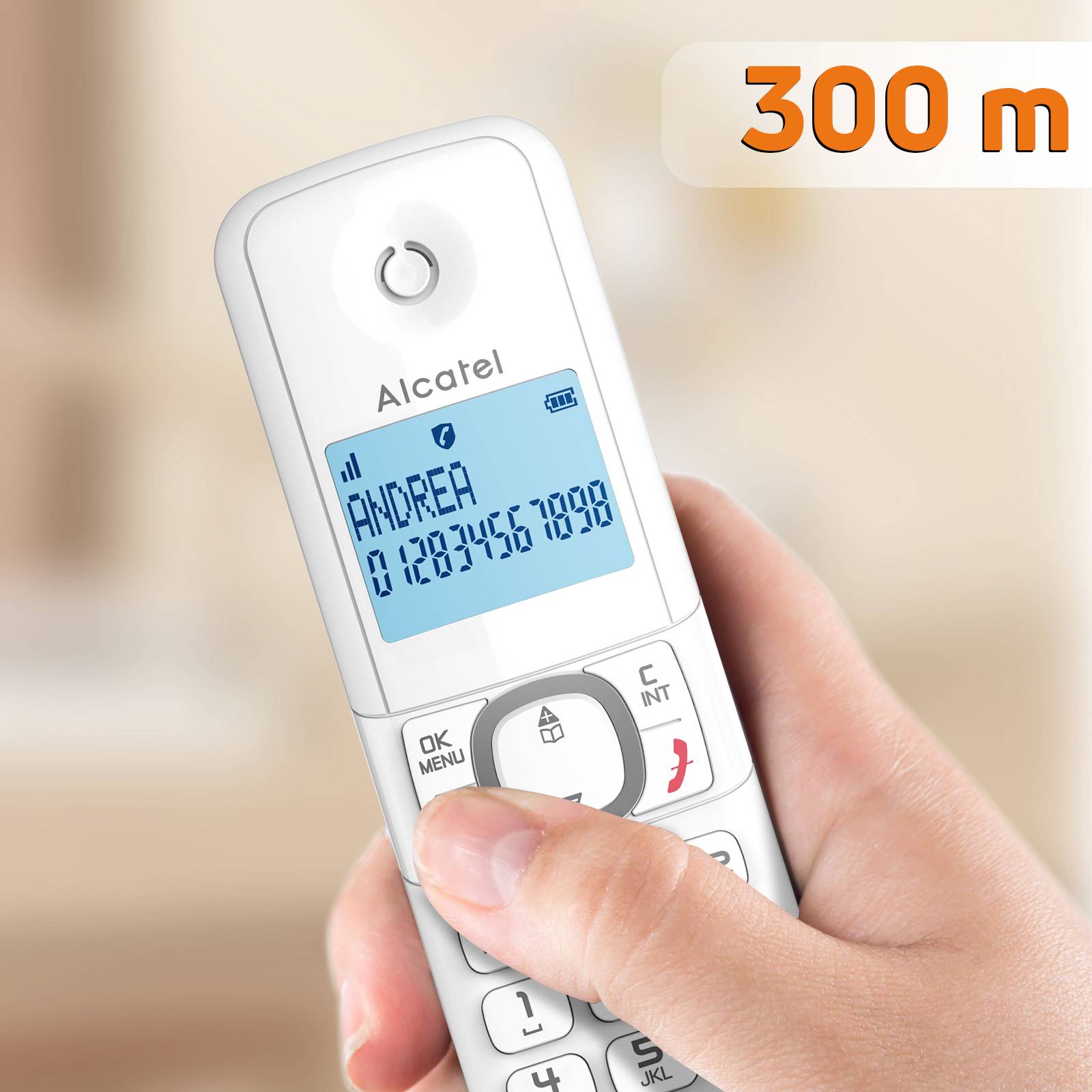 Lot de 2 Téléphones DECT Blocage d'Appels et Fonction VIP F860 Duo-4