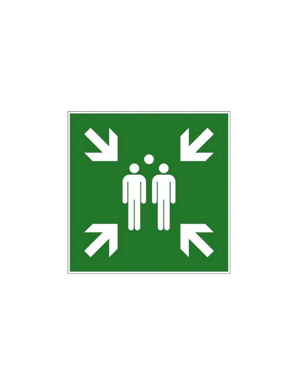 Disque Sortie Secours D300 Signalisation D'urgence Claire Et Durable - Novap
