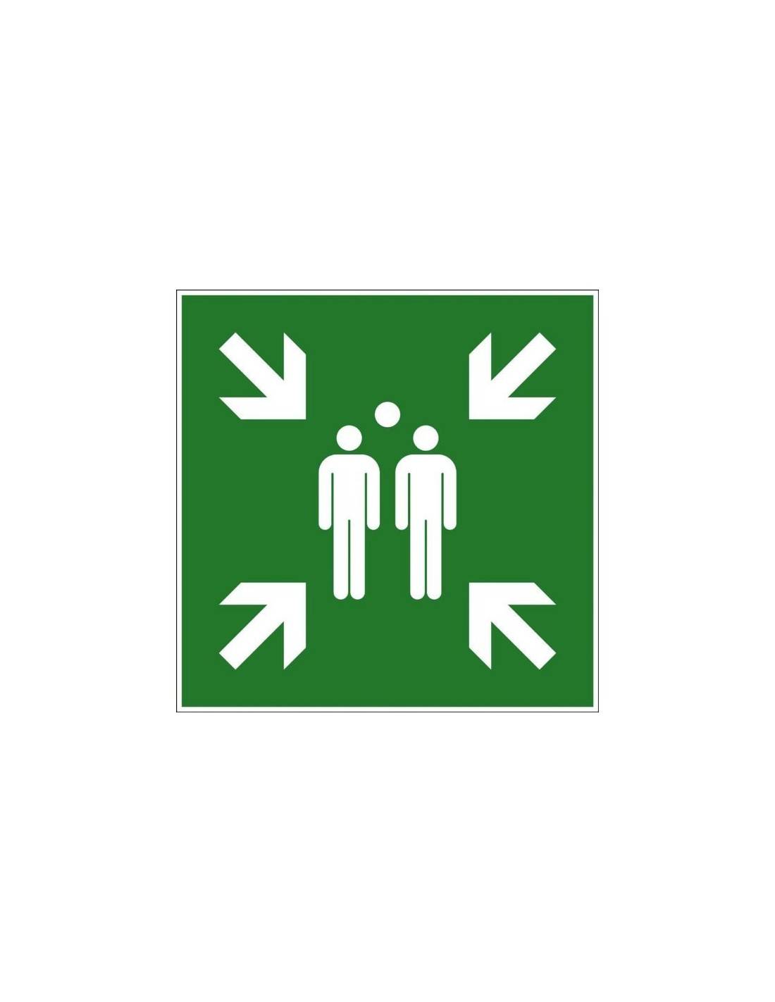 Disque Sortie Secours D300 Signalisation D'urgence Claire Et Durable - Novap-0