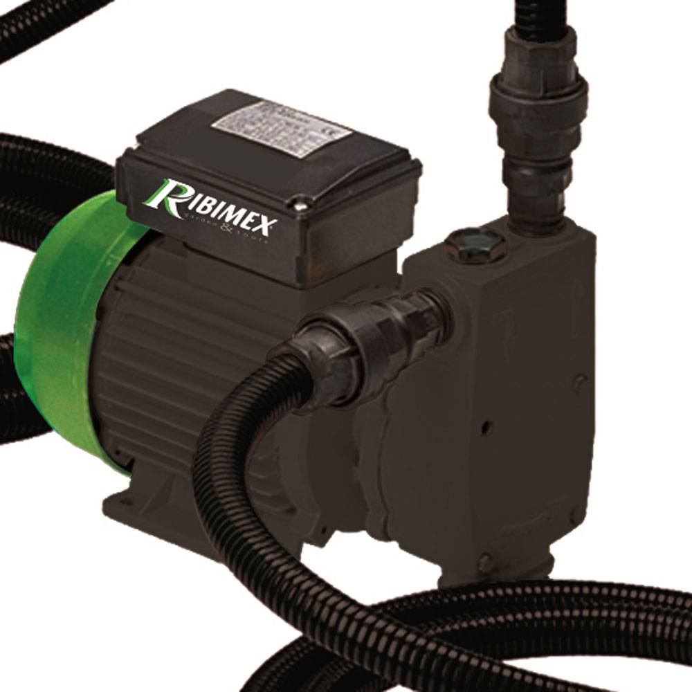 Pompe Gasoil auto-amorçante 800 W avec accessoires-1