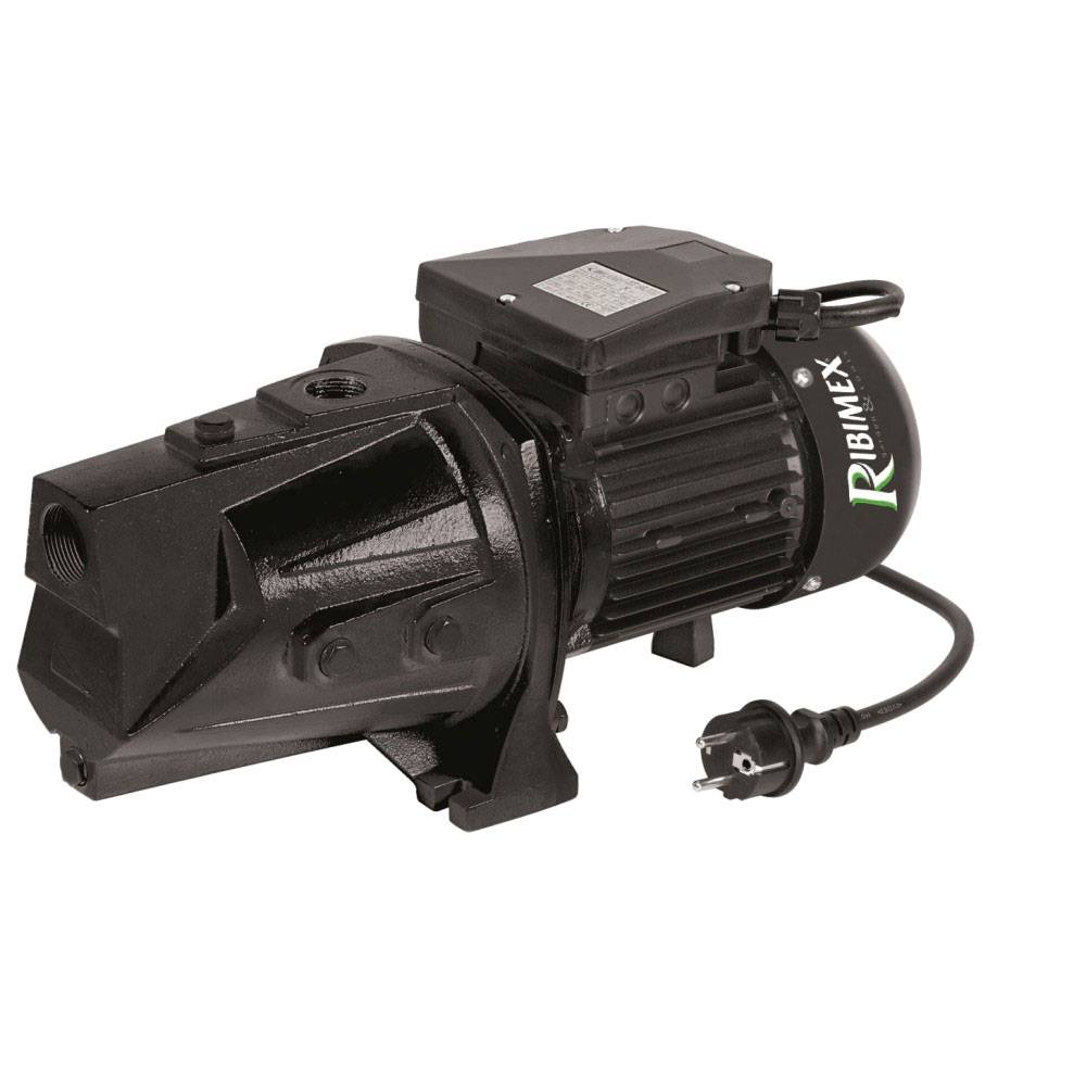 Pompe De Surface Auto-amorçante Corps Long 1800w Ribiland prjet150l-0