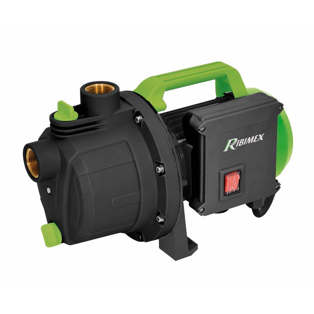 Pompe à Eau De Surface Auto-amorçante 600w Ribimex PRJET41P-0