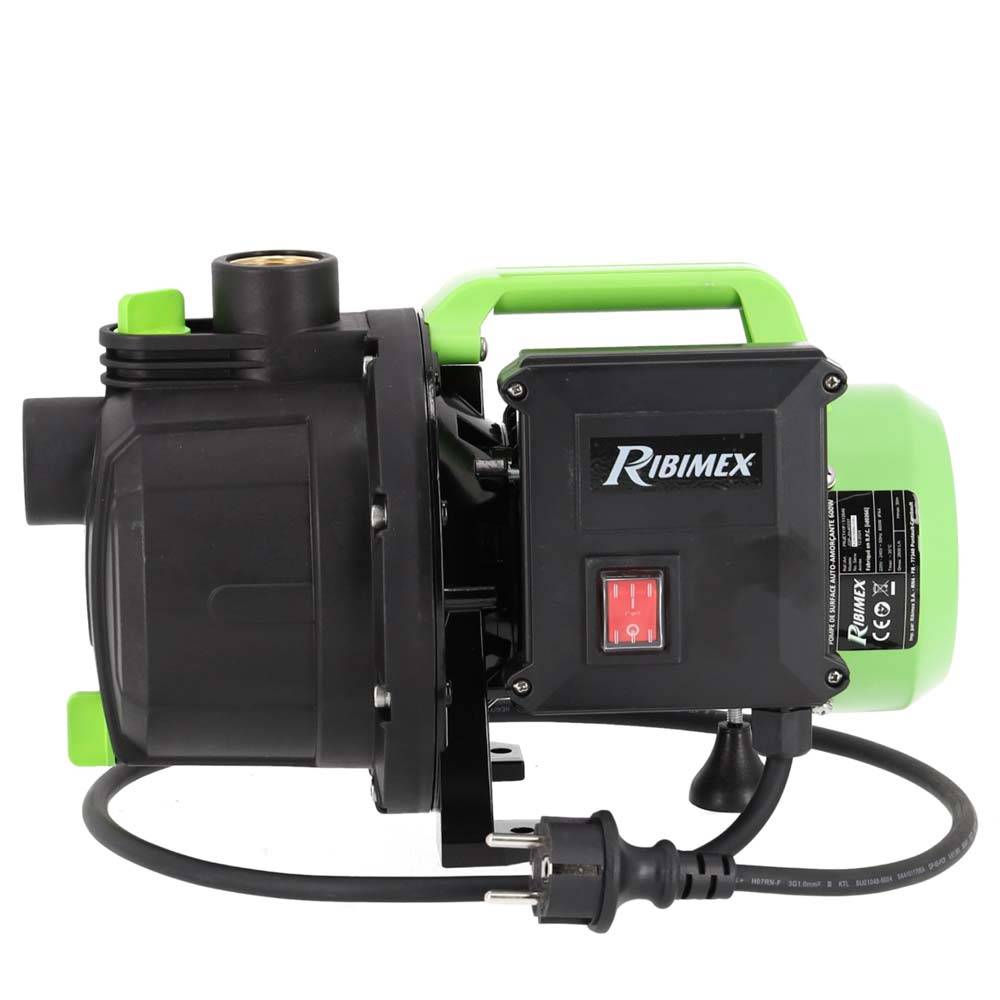 Pompe à Eau De Surface Auto-amorçante 600w Ribimex PRJET41P-1