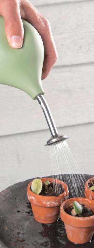 Pulvérisateur arrosoir SPRIZZY 240ml-1