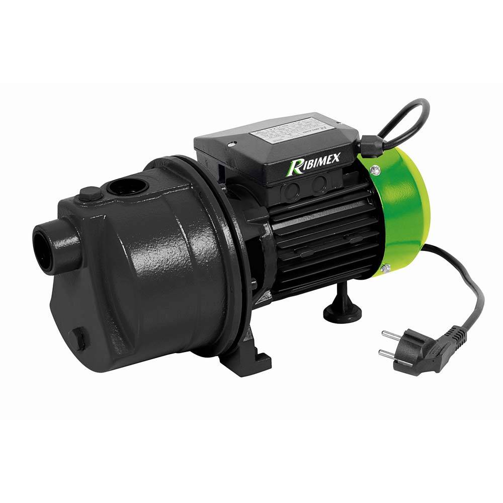 Pompe De Surface Auto-amorçante 600w Ribiland prjet61-0