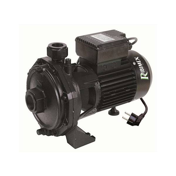 Pompe à Eau De Surface Biturbine Centrifuge 2000w  Ribiland  prrbk200