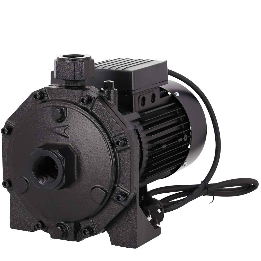 Pompe à Eau De Surface Biturbine Centrifuge 2000w Ribiland prrbk200-3