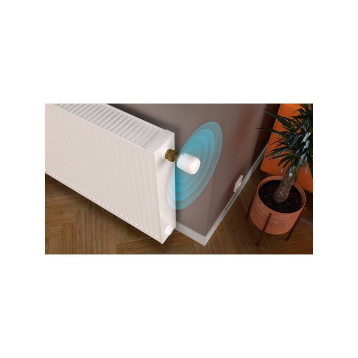 Tête de Vanne Thermostatique avec Contrôle à Distance-3