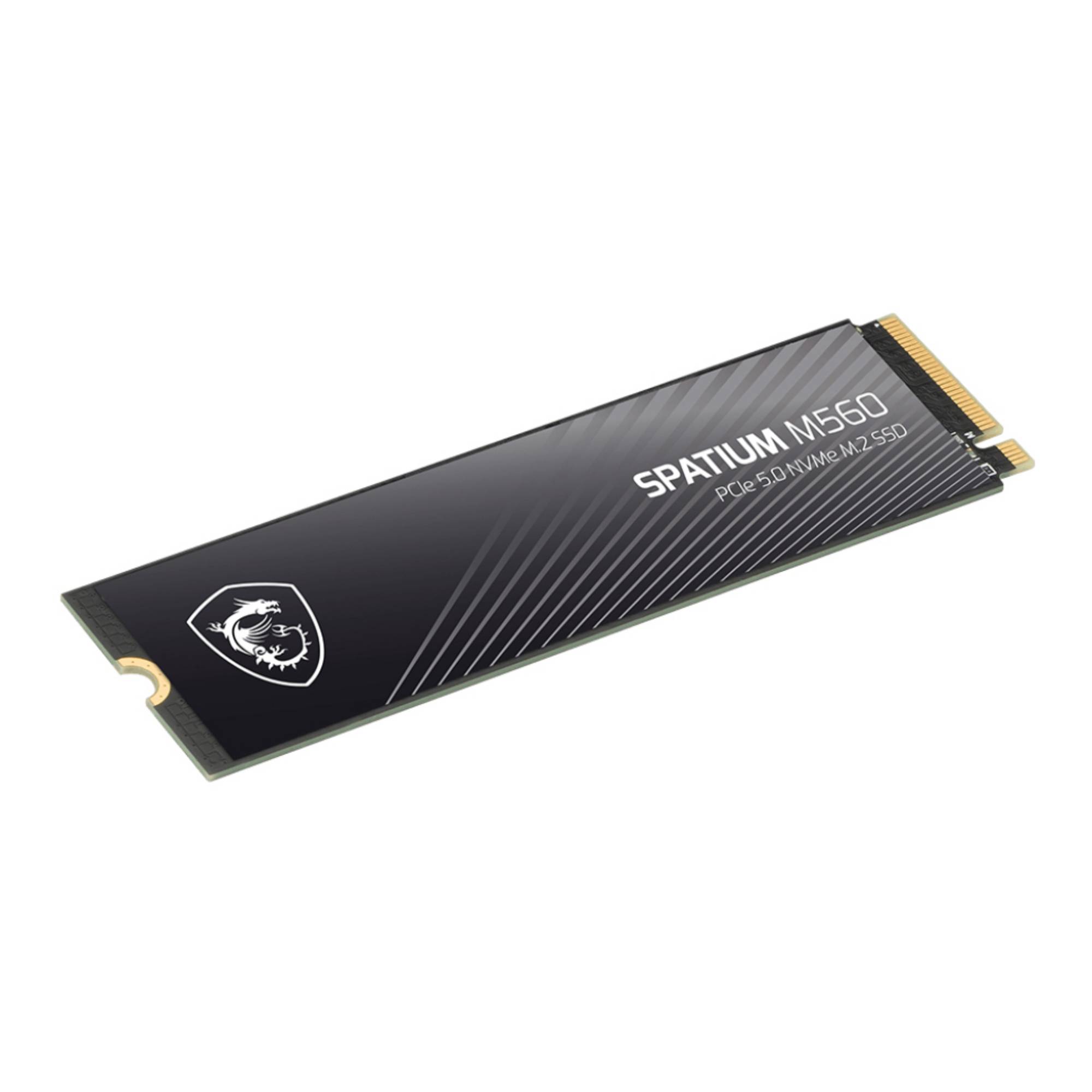 MSI Spatium M560 PCIE 5.0 NVME M.2 1TB, 1 To, M.2, 10200 Mo/s-2