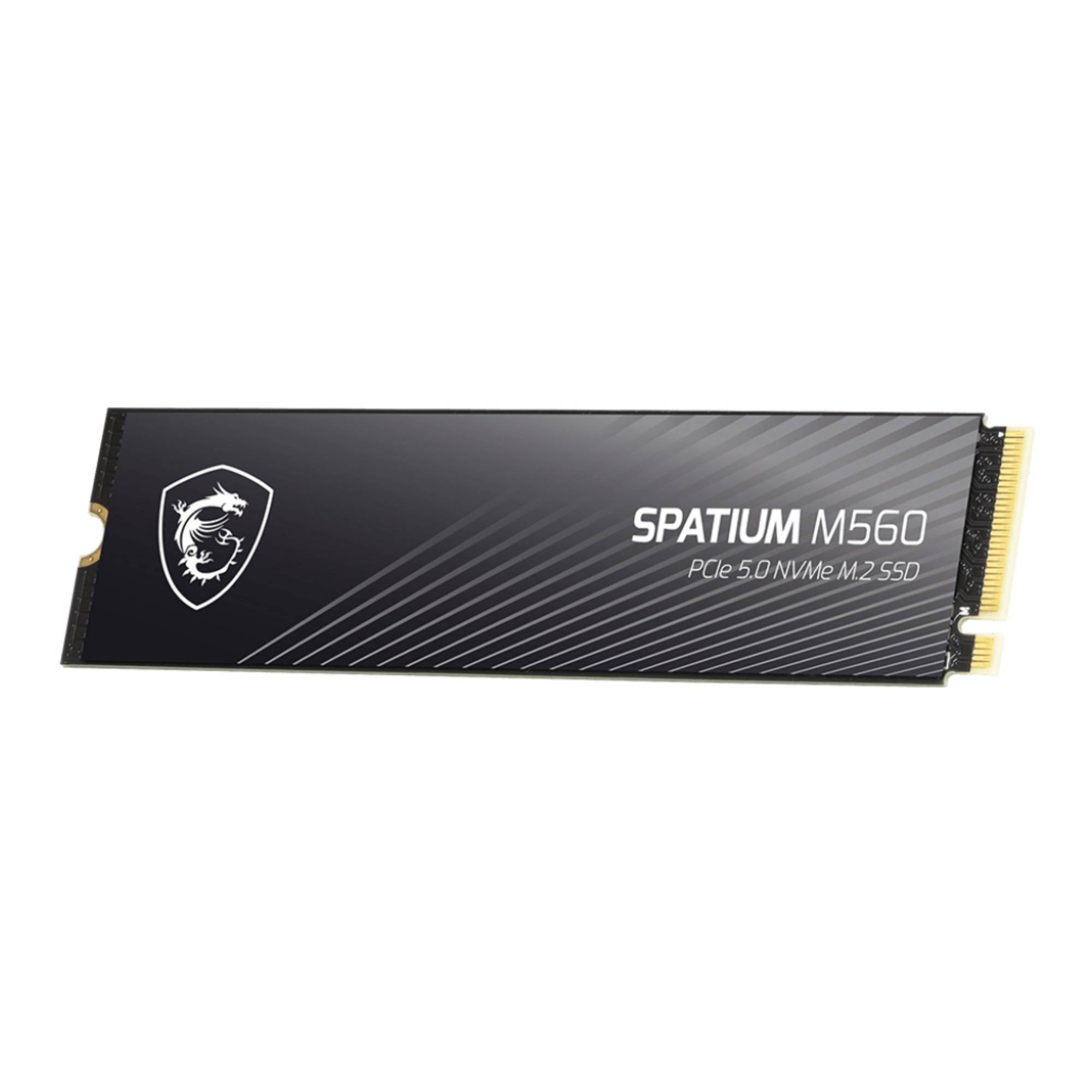 MSI Spatium M560 PCIE 5.0 NVME M.2 1TB, 1 To, M.2, 10200 Mo/s-3