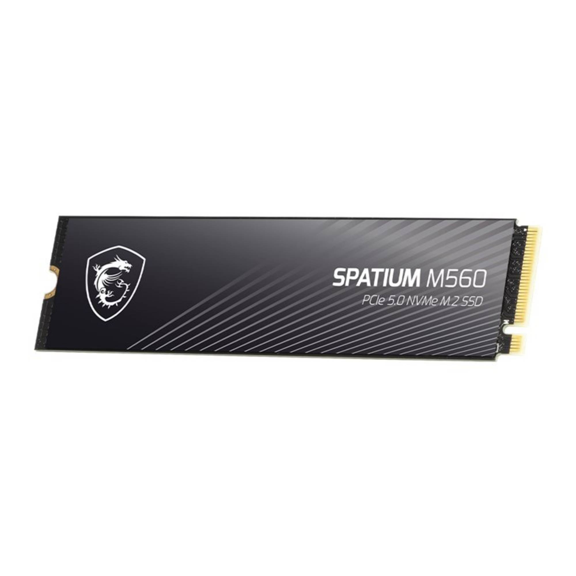 MSI Spatium M560 PCIE 5.0 NVME M.2 1TB, 1 To, M.2, 10200 Mo/s-4