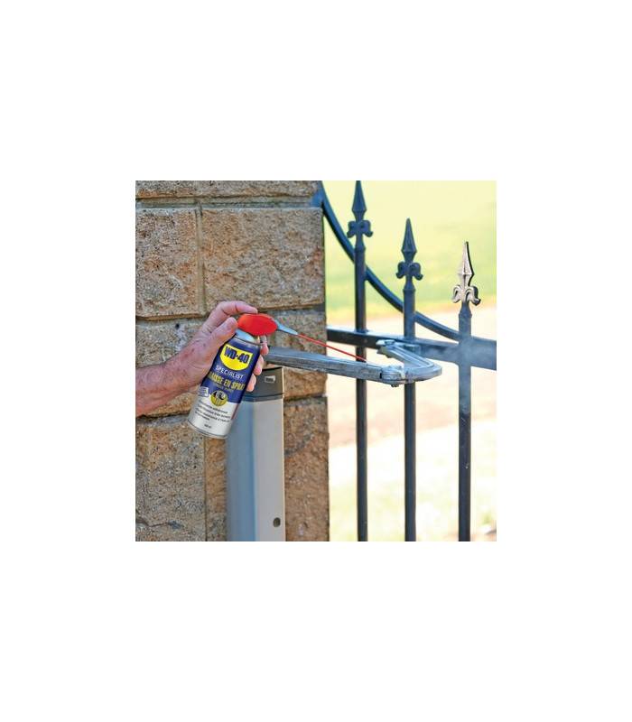 Graisse spray longue durée système professionnel- WD40 - 33215-1