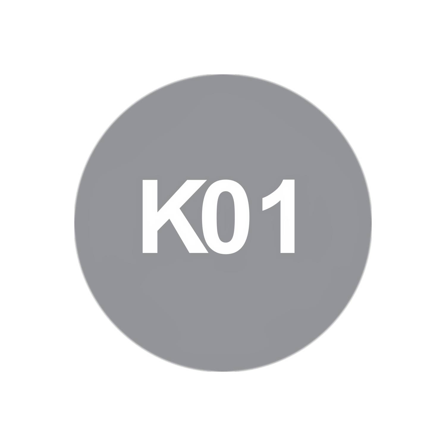 PLAQUETTE HM K01 12X12X1,5 4Z 35° - 02.4002.4 - LEMAN-3
