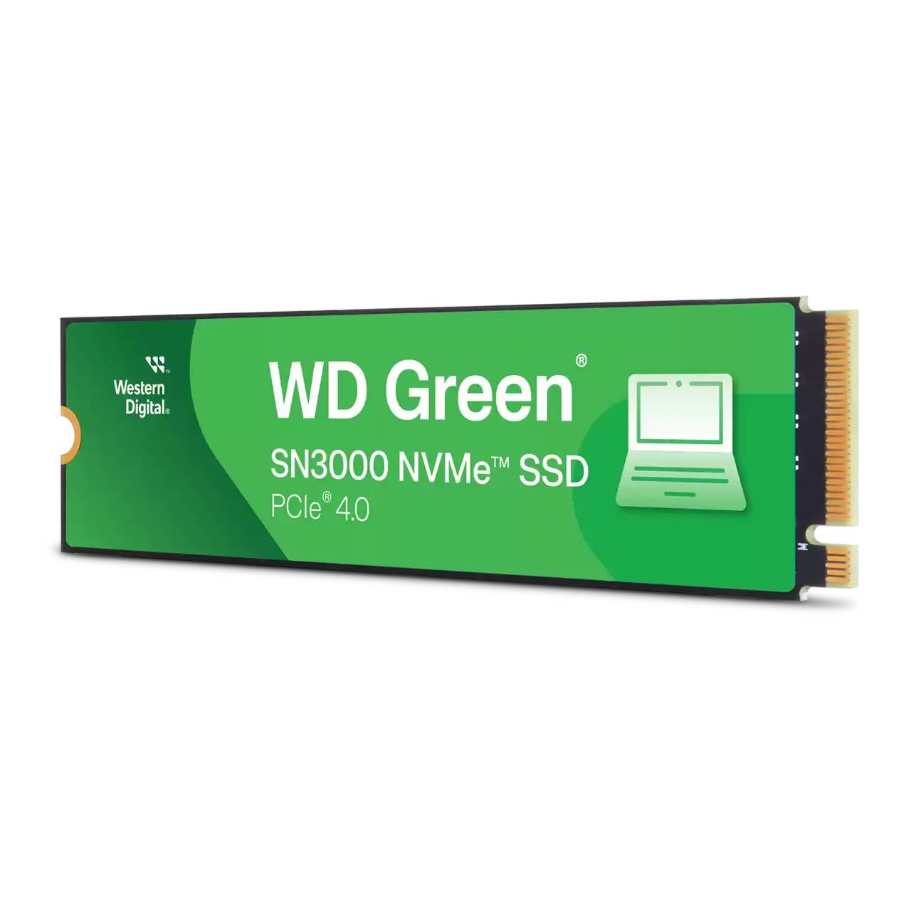 SanDisk SN3000, 500 Go, M.2, 5000 Mo/s-5