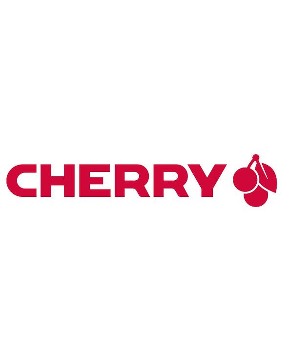 CHERRY DW 9100 SLIM, Sans fil, RF sans fil + Bluetooth, AZERTY, Argent, Souris incluse-0