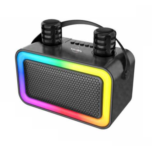 Enceinte Bluetooth KARAOKE 2 micros 100W-1