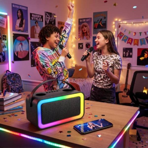 Enceinte Bluetooth KARAOKE 2 micros 100W