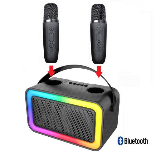 Enceinte Bluetooth KARAOKE 2 micros 100W-2