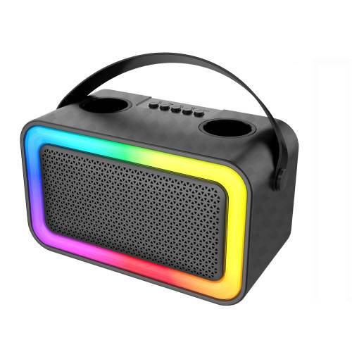Enceinte Bluetooth KARAOKE 2 micros 100W-3