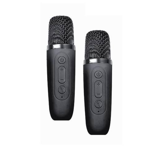 Enceinte Bluetooth KARAOKE 2 micros 100W-4
