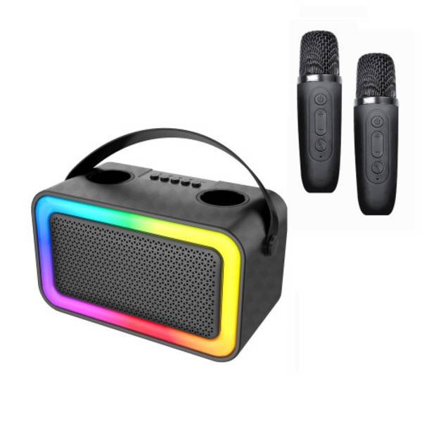 Enceinte Bluetooth KARAOKE 2 micros 100W