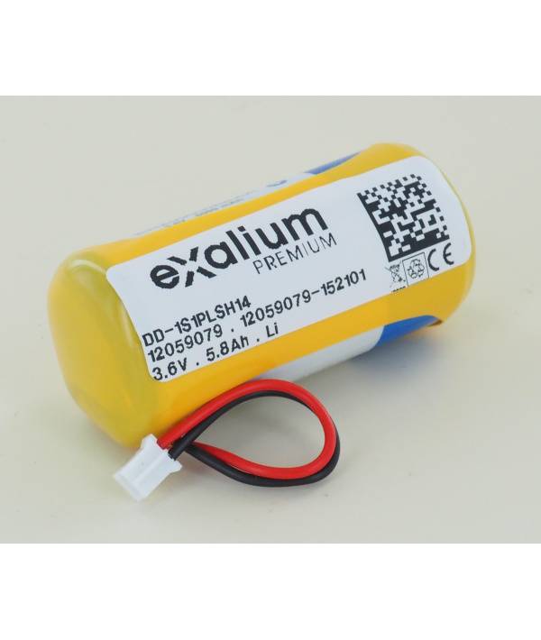 Pile Lithium 3.6V 5.8Ah pour DMBV TYXAL+ Delta Dore-0