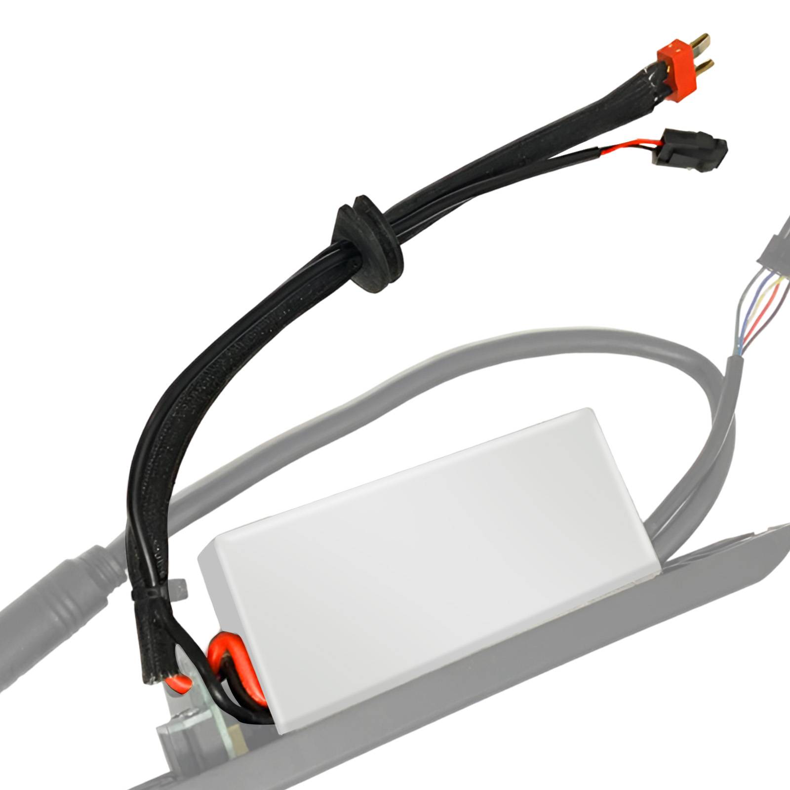 Câble de Connexion entre Batterie et Contrôleur 25 cm avec 2 + 2 Pins-3