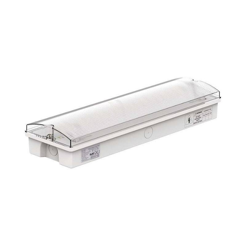 Bloc de Secours BAES LED Bouton Autotest 3W IP65 - Blanc Froid 6000K - 8000K - SILAMP-0