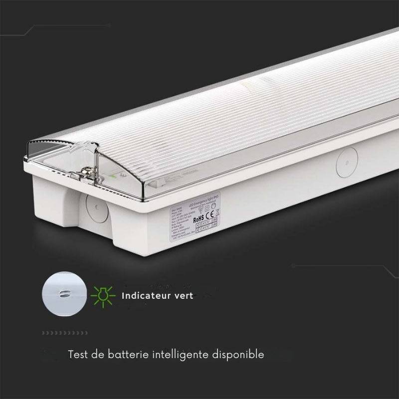 Bloc de Secours BAES LED Bouton Autotest 3W IP65 - Blanc Froid 6000K - 8000K - SILAMP-4