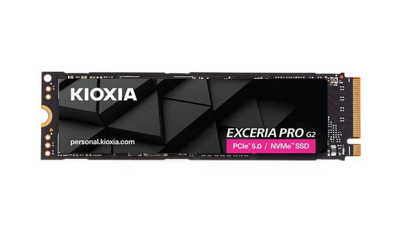 Kioxia LVE10Z1T02G8 Speicher