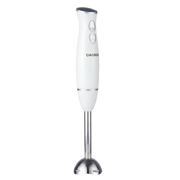 Mixeur Plongeant Multifonction 300W avec Pied en Acier Inoxydable