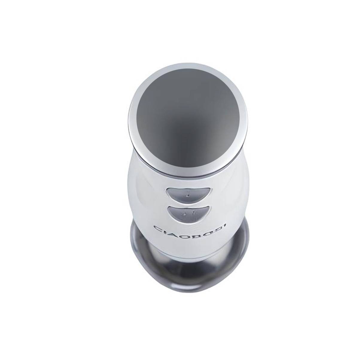 Mixeur Plongeant Multifonction 300W avec Pied en Acier Inoxydable-1