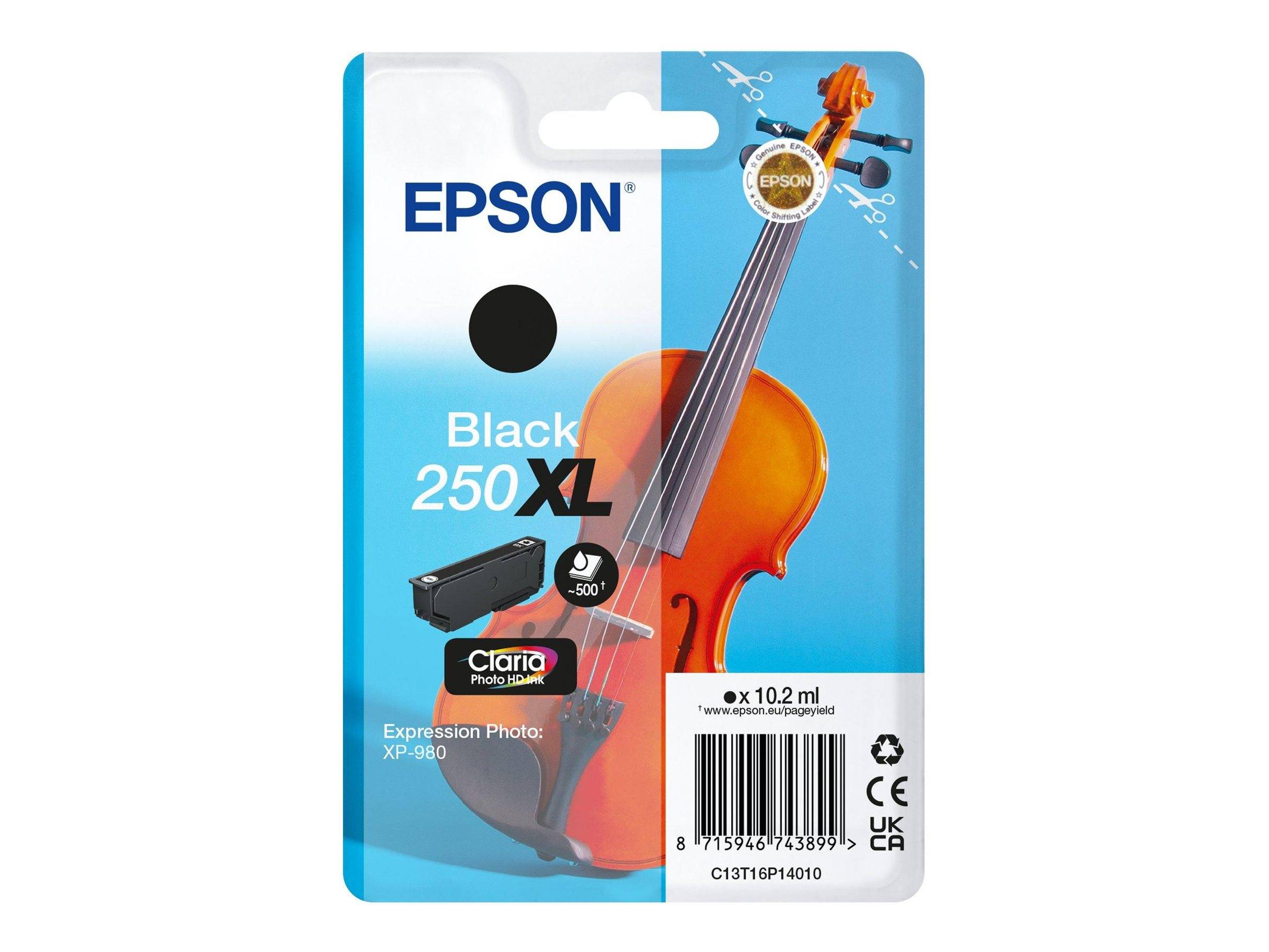 EPSON Singlepack Black 250XL ink-0