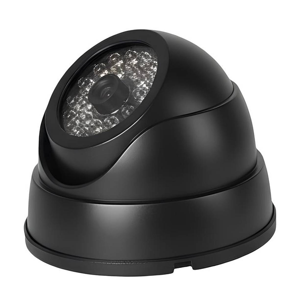 Caméra de Dissuasion Type Dôme pour Intérieur / Extérieur avec LED Apparentes-3