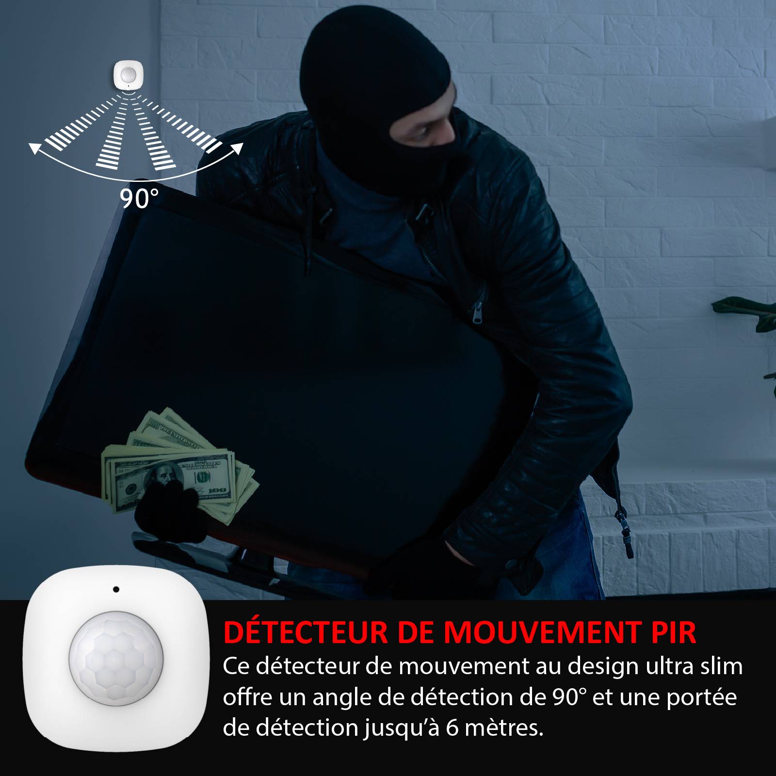 Kit Alarme Évolutif 868 Mhz connecté Wifi 2,4Ghz avec Sirène 90dB Flash LED intégré-6